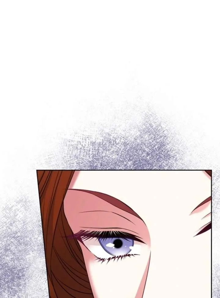 I Will Divorce the Female Lead’s Siscon Brother Chapter 84 page 17
