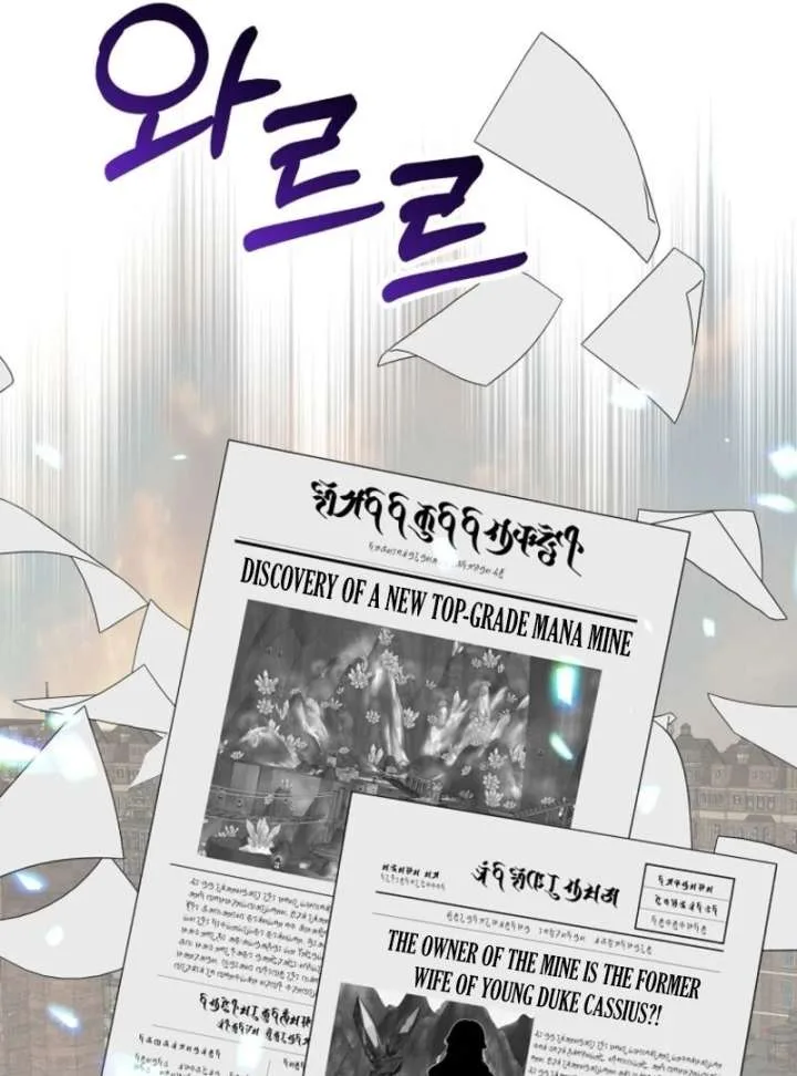 I Will Divorce the Female Lead’s Siscon Brother Chapter 84 page 28