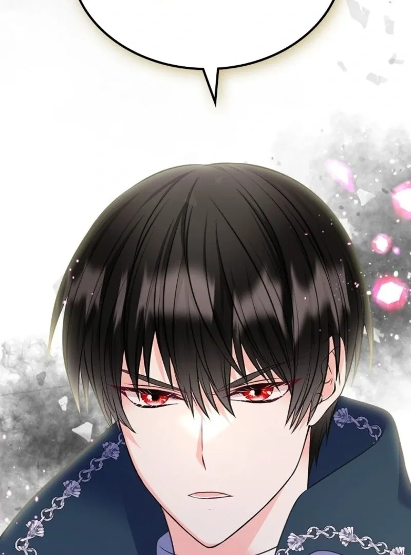I Will Divorce the Female Lead’s Siscon Brother Chapter 83 page 94