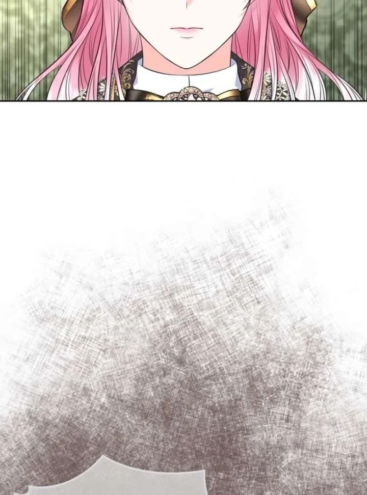 I Will Divorce the Female Lead’s Siscon Brother Chapter 88 page 49