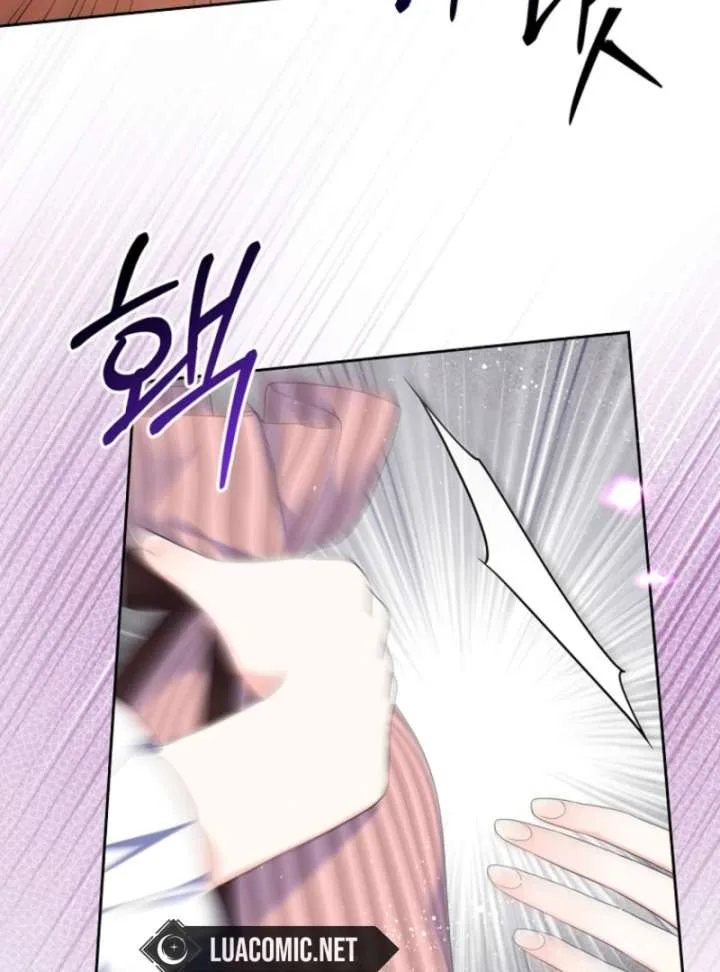 I Will Divorce the Female Lead’s Siscon Brother Chapter 86 page 33