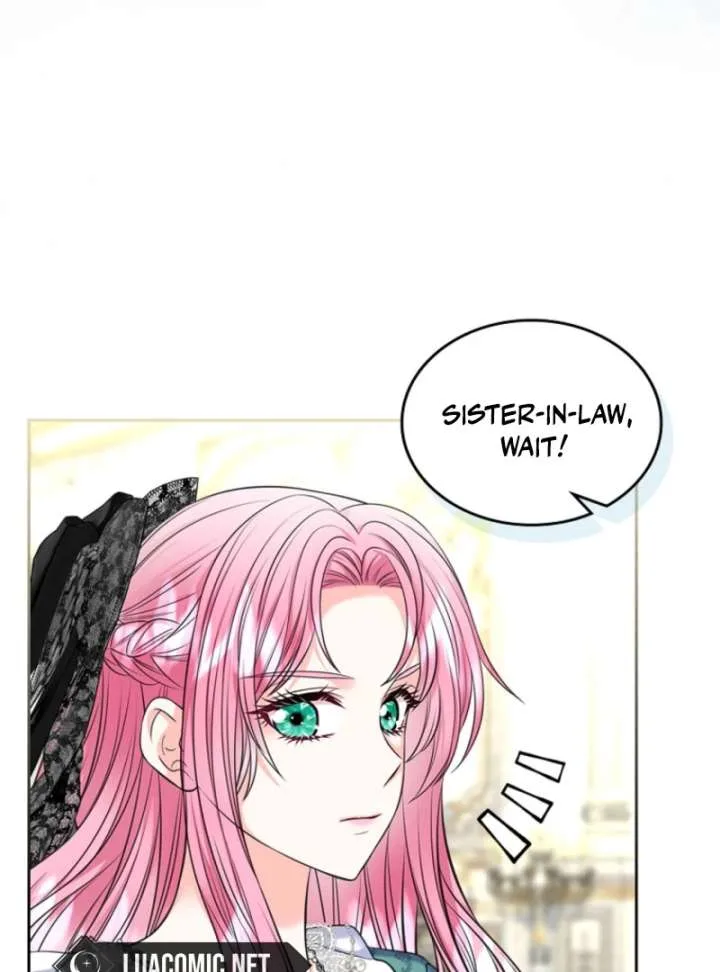 I Will Divorce the Female Lead’s Siscon Brother Chapter 86 page 42