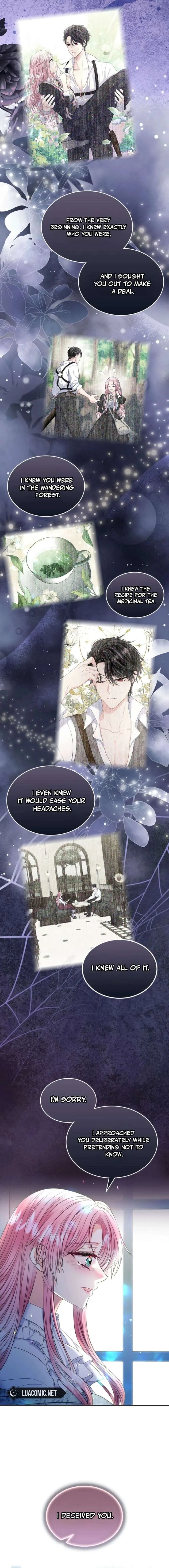 I Will Divorce the Female Lead’s Siscon Brother Chapter 91 page 13