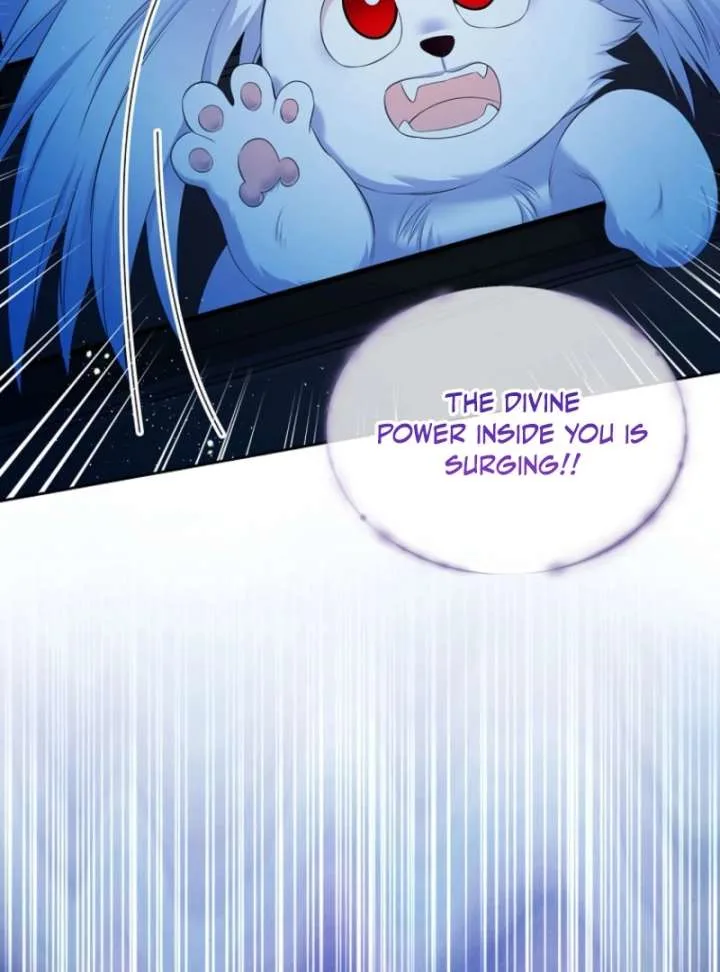 I Will Divorce the Female Lead’s Siscon Brother Chapter 89 page 33