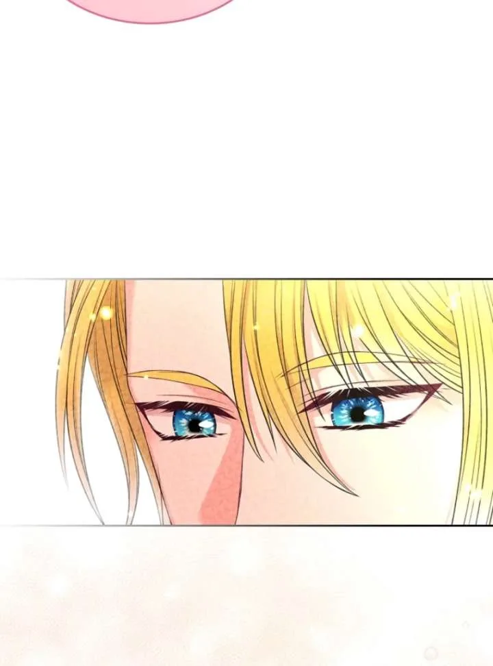 I Will Divorce the Female Lead’s Siscon Brother Chapter 89 page 74