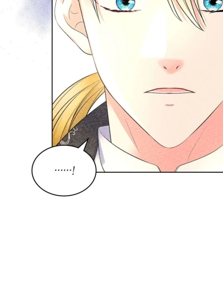 I Will Divorce the Female Lead’s Siscon Brother Chapter 89 page 105