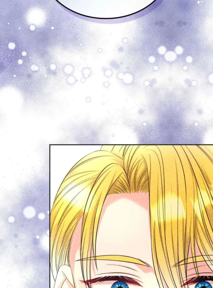 I Will Divorce the Female Lead’s Siscon Brother Chapter 89 page 104