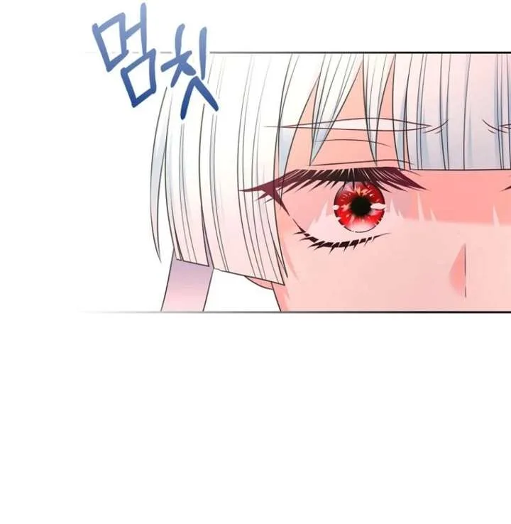I Will Divorce the Female Lead’s Siscon Brother Chapter 94 page 64