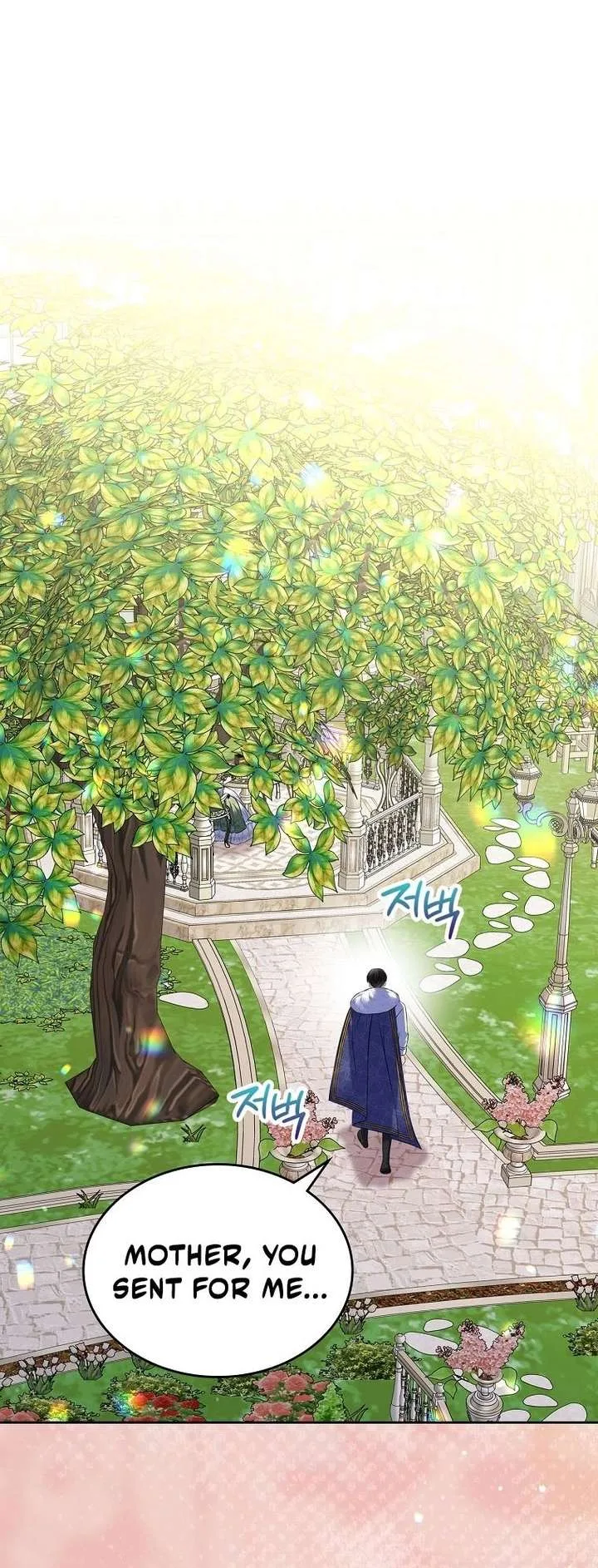 I Will Divorce the Female Lead’s Siscon Brother Chapter 102 page 58