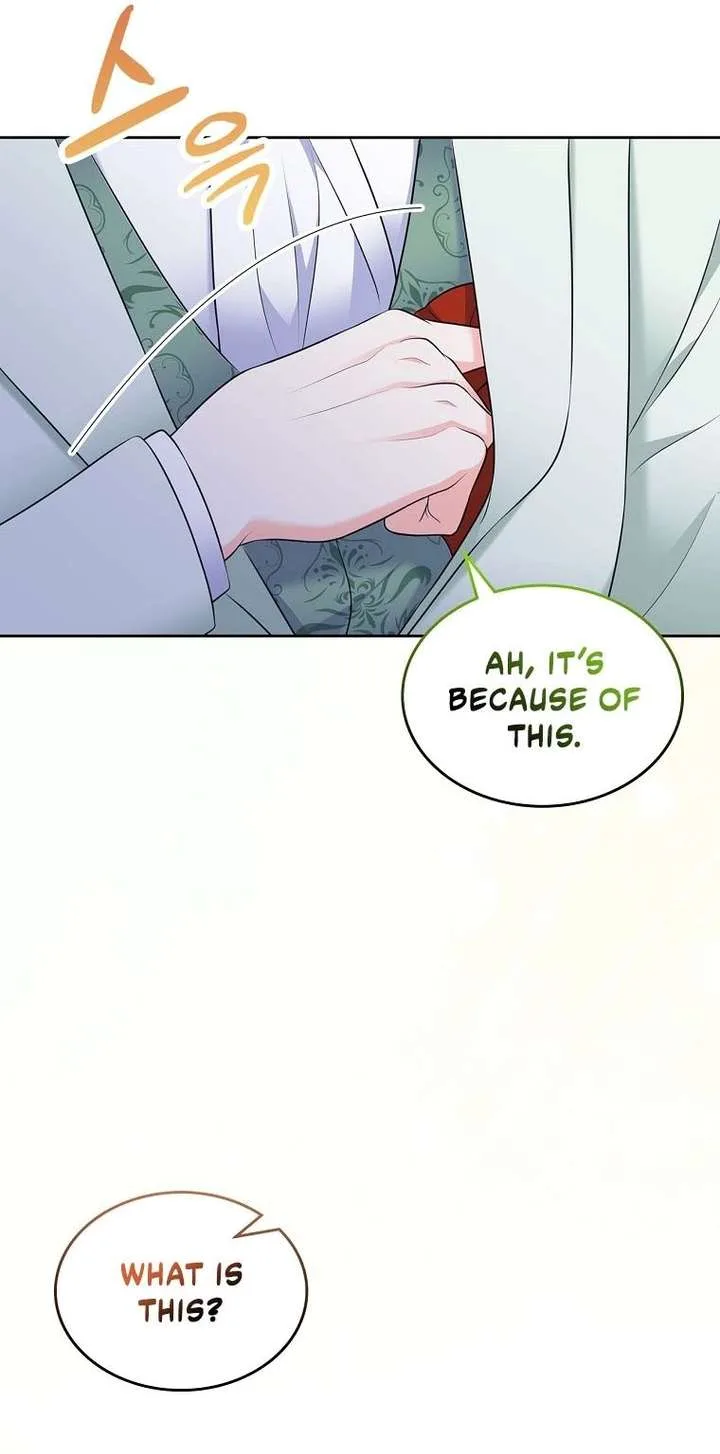 I Will Divorce the Female Lead’s Siscon Brother Chapter 102 page 42