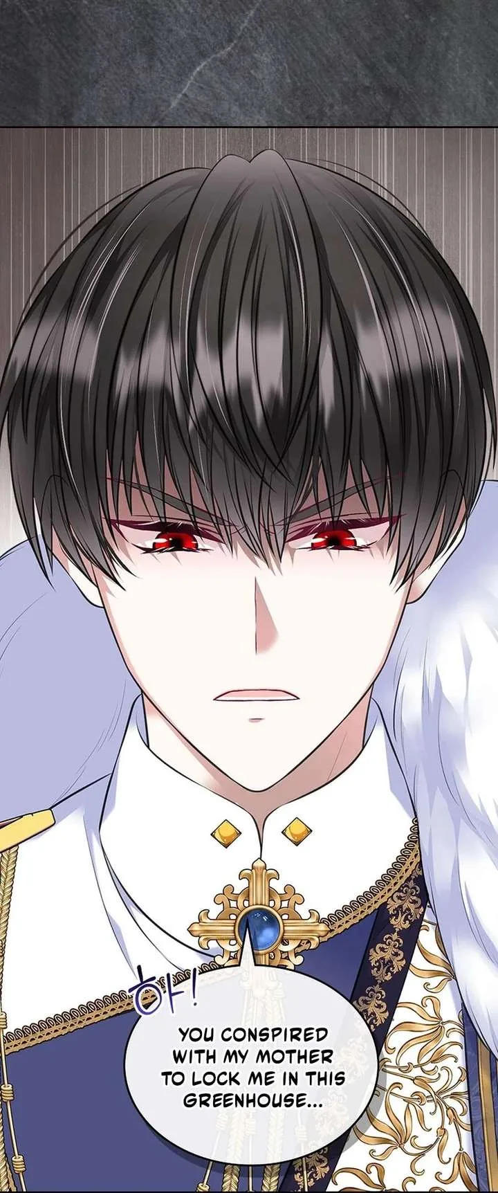 I Will Divorce the Female Lead’s Siscon Brother Chapter 103 page 9
