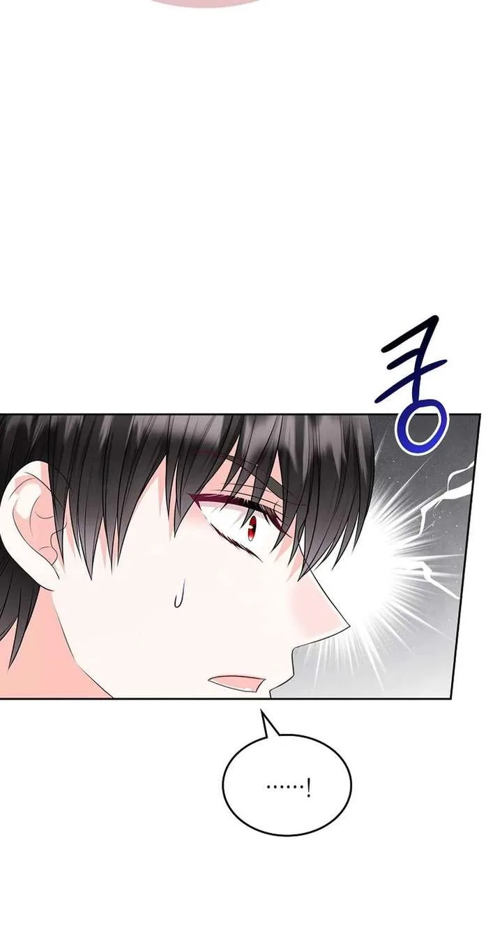 I Will Divorce the Female Lead’s Siscon Brother Chapter 103 page 31