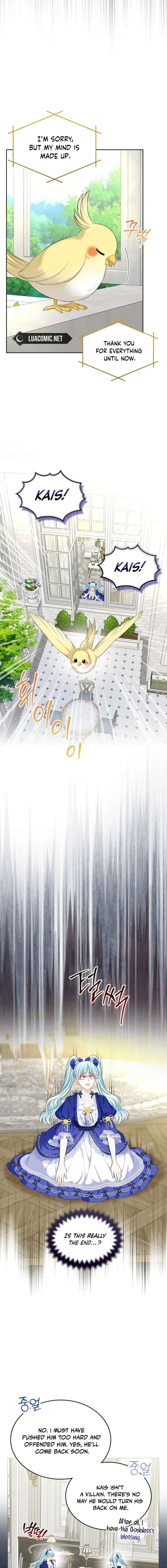 I Will Divorce the Female Lead’s Siscon Brother Chapter 100 page 11