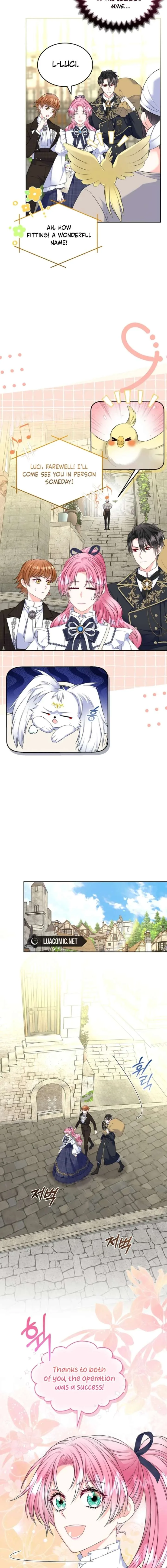 I Will Divorce the Female Lead’s Siscon Brother Chapter 100 page 4