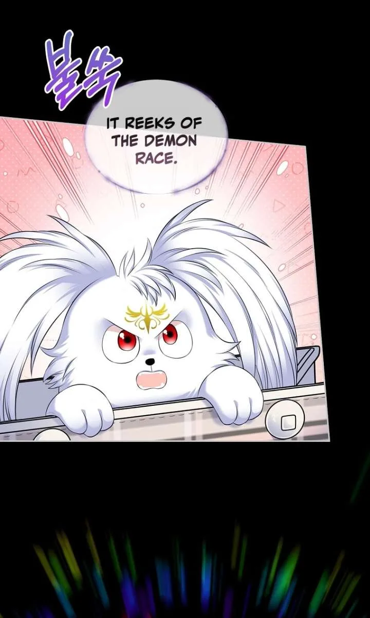 I Will Divorce the Female Lead’s Siscon Brother Chapter 106 page 25