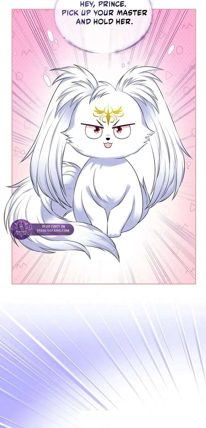 I Will Divorce the Female Lead’s Siscon Brother Chapter 107 page 25