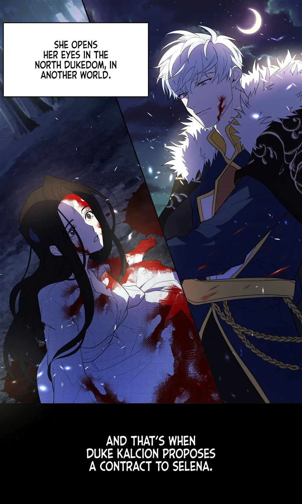 I Will Seduce the Northern Duke Chapter 0 page 4