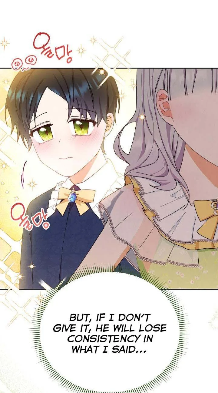 I Will Take Responsibility for the Welfare of the Male Lead Chapter 12 page 48
