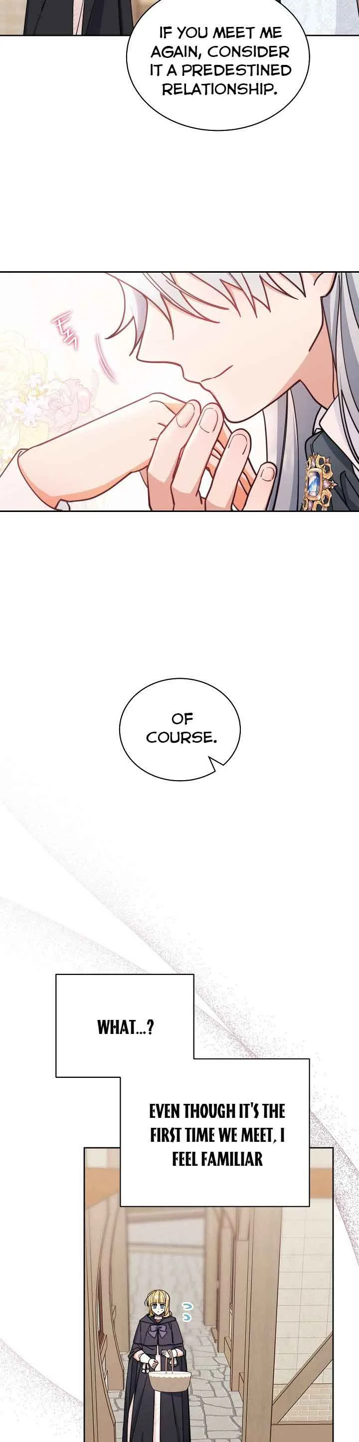 I Will Take Responsibility for the Welfare of the Male Lead Chapter 28 page 28