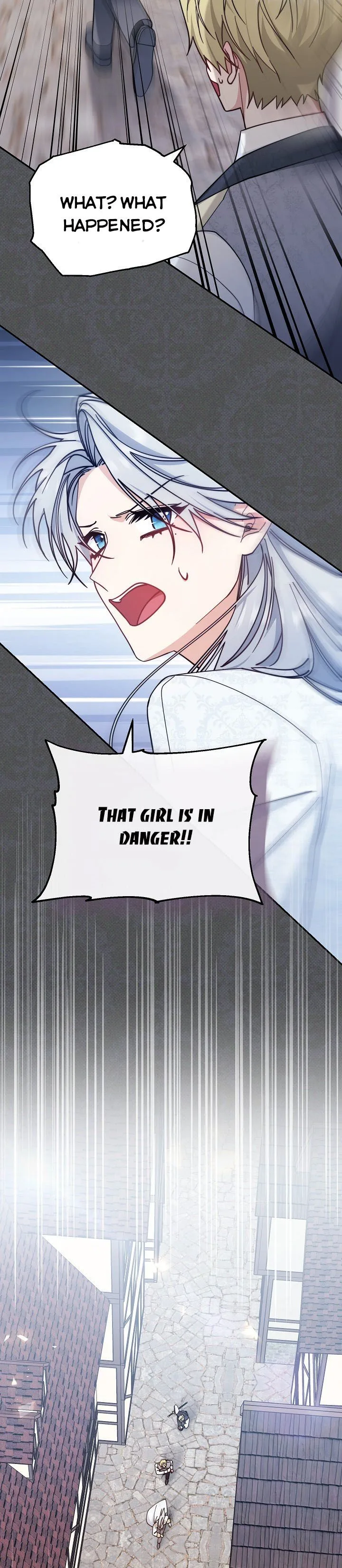 I Will Take Responsibility for the Welfare of the Male Lead Chapter 30 page 13