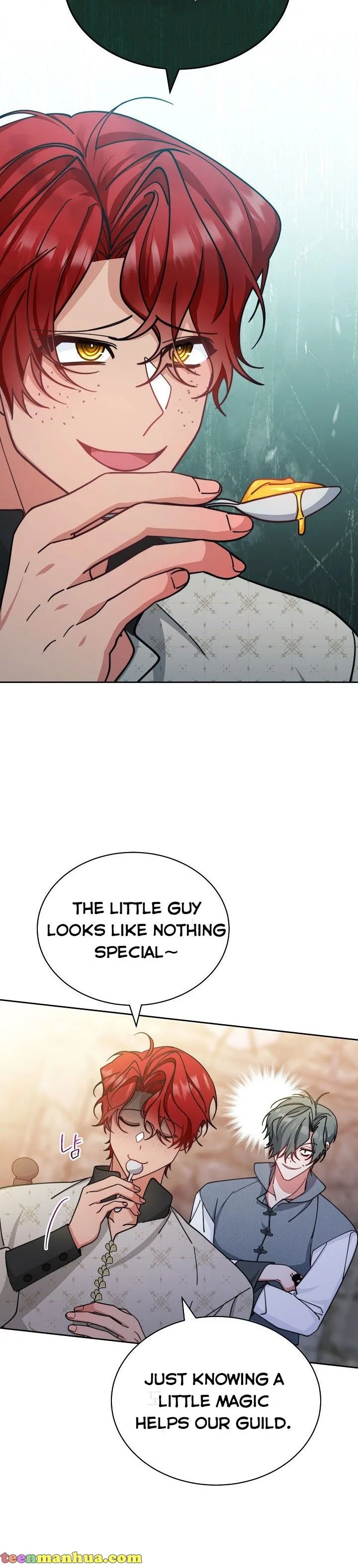 I Will Take Responsibility for the Welfare of the Male Lead Chapter 29 page 13