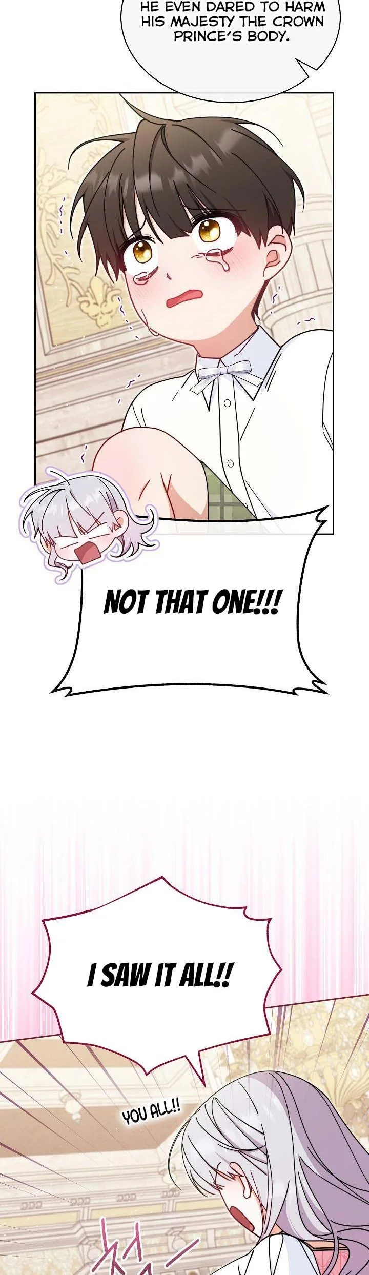I Will Take Responsibility for the Welfare of the Male Lead Chapter 46 page 14