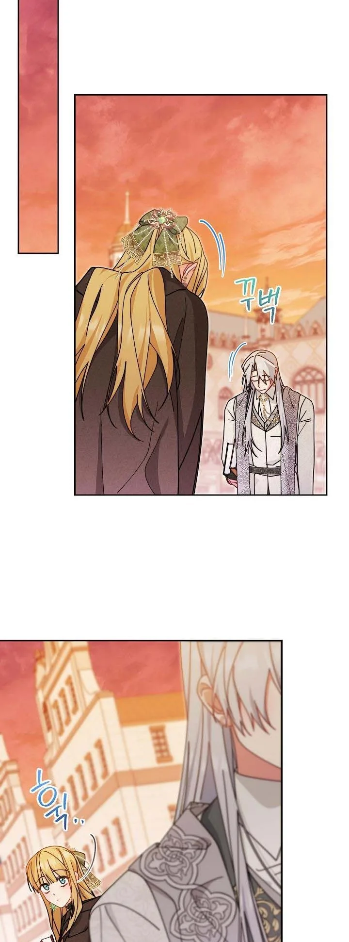 I Will Take Responsibility for the Welfare of the Male Lead Chapter 49.5 page 11