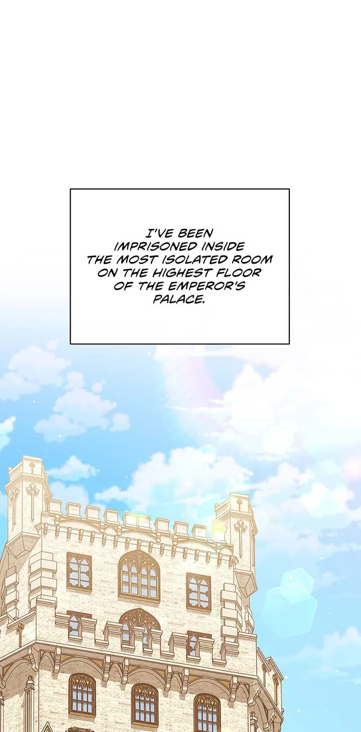 I Will Take Responsibility for the Welfare of the Male Lead Chapter 74 page 2