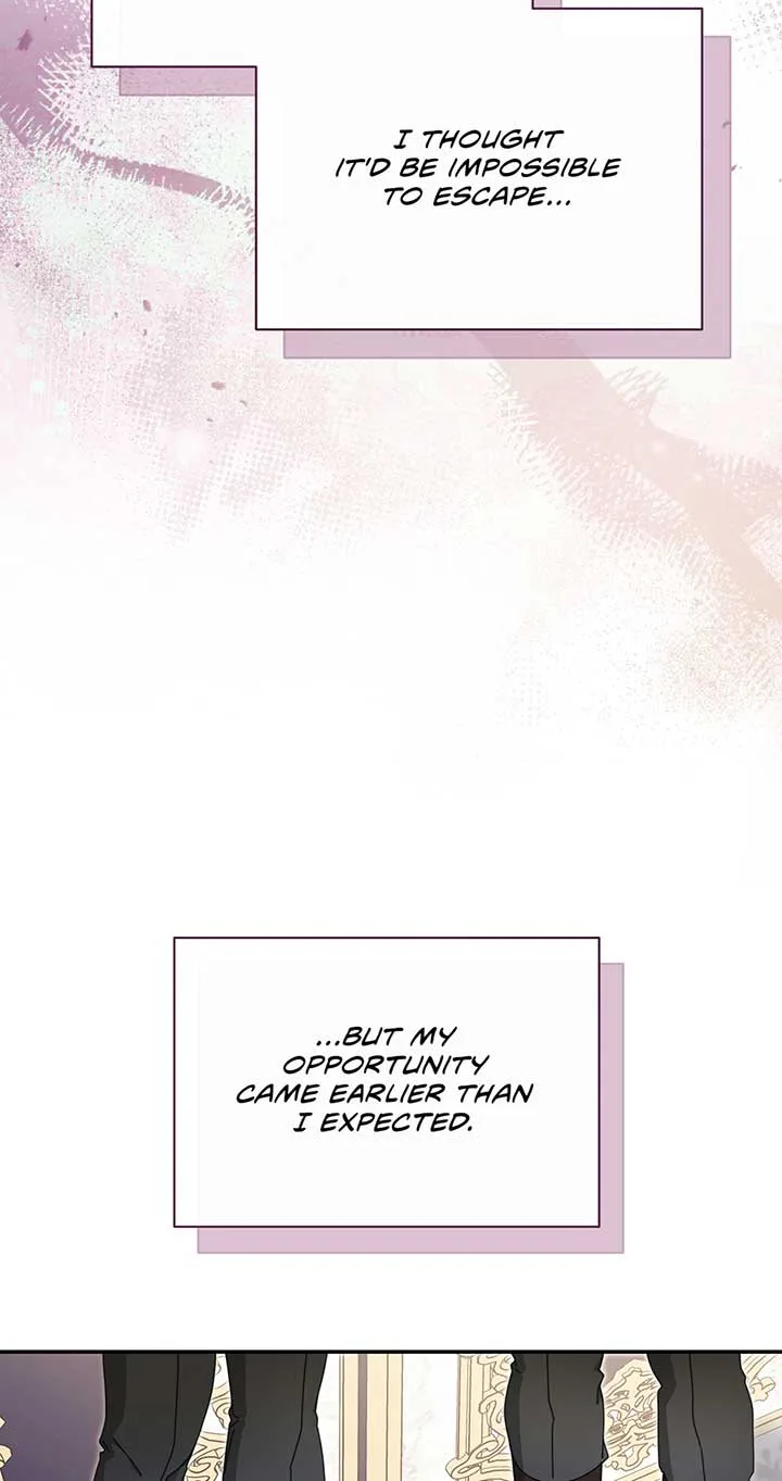 I Will Take Responsibility for the Welfare of the Male Lead Chapter 74 page 15