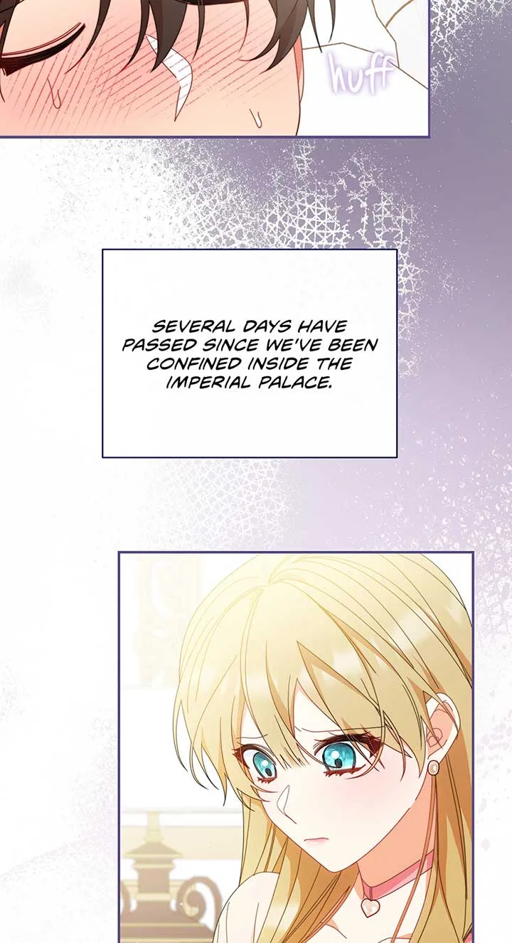I Will Take Responsibility for the Welfare of the Male Lead Chapter 73 page 5