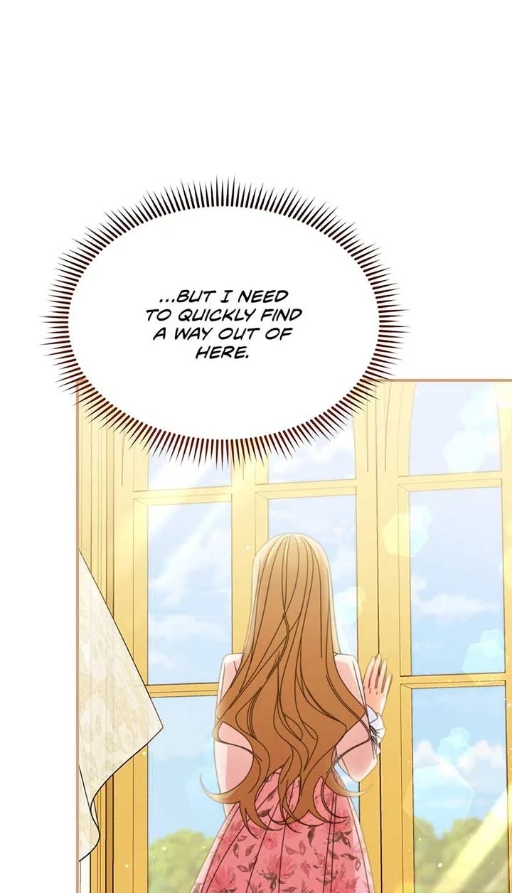 I Will Take Responsibility for the Welfare of the Male Lead Chapter 73 page 84