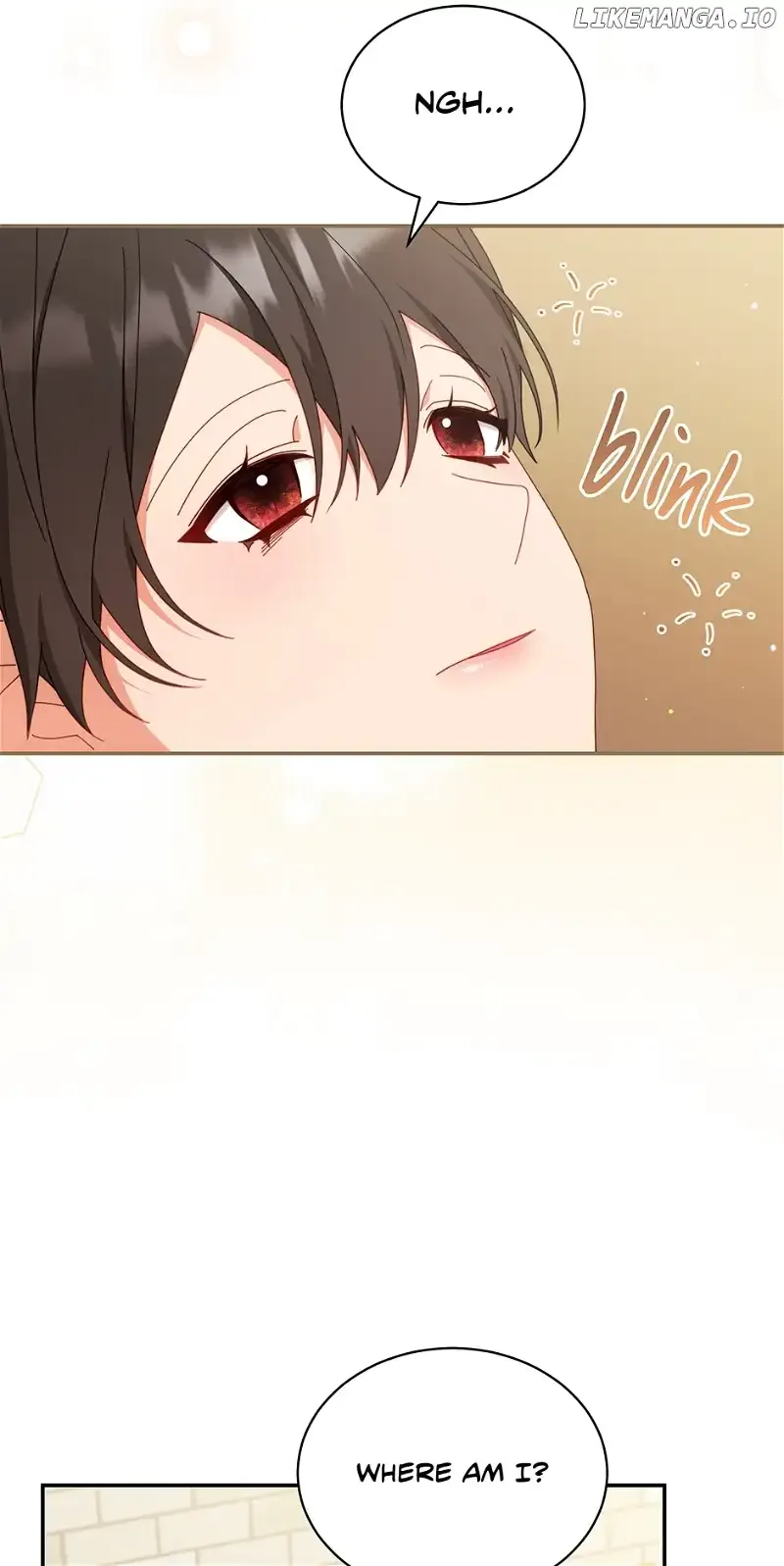 I Will Take Responsibility for the Welfare of the Male Lead Chapter 81 page 94