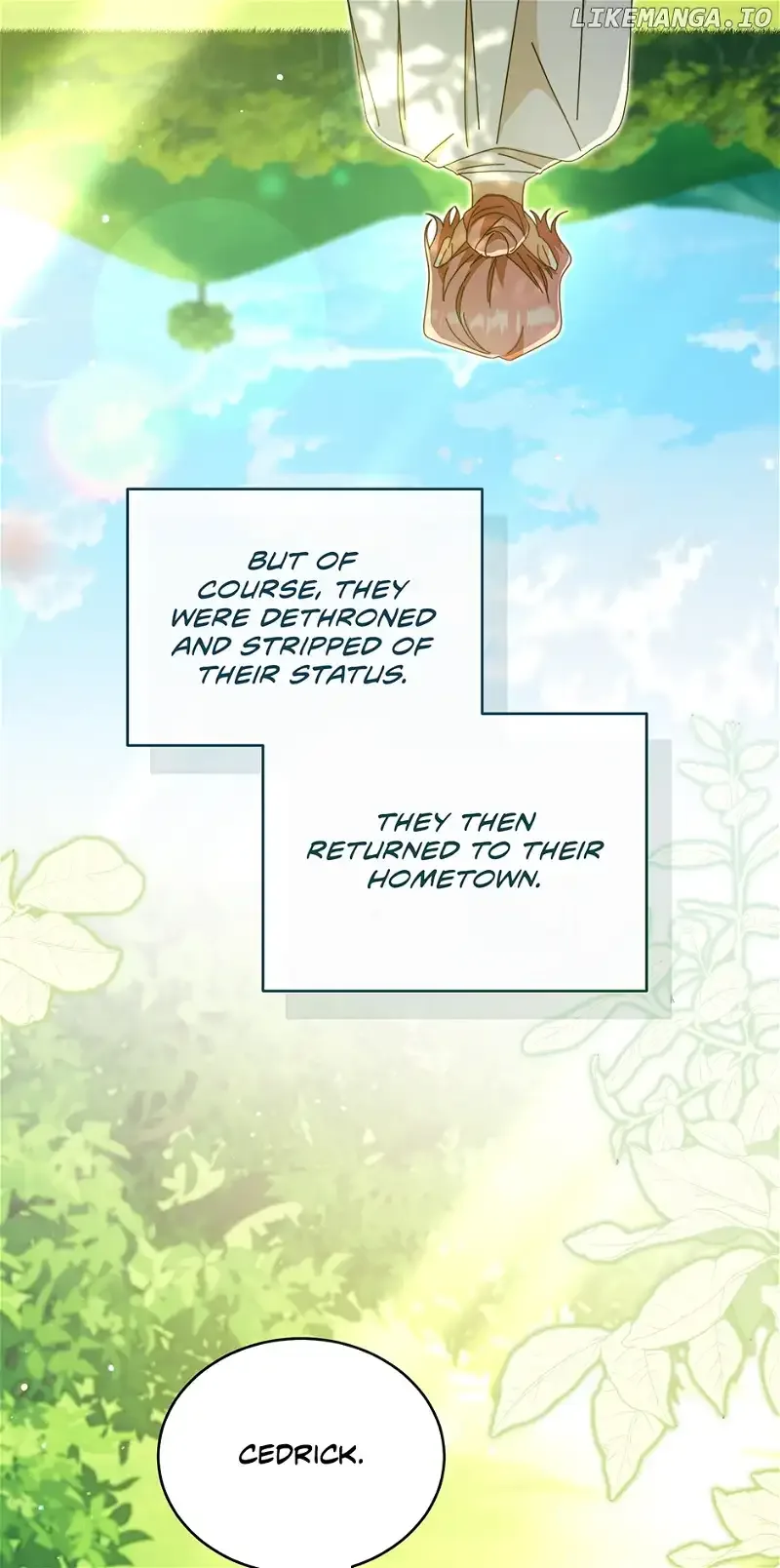 I Will Take Responsibility for the Welfare of the Male Lead Chapter 81 page 66