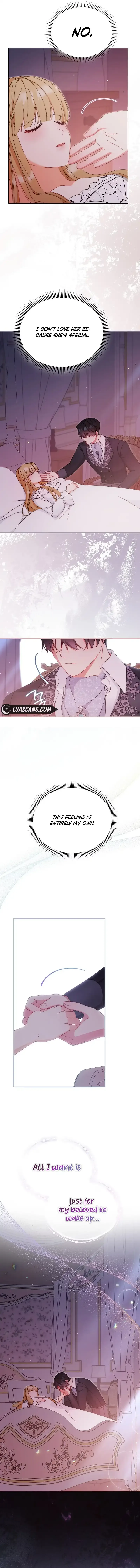 I Will Take Responsibility for the Welfare of the Male Lead Chapter 87 page 13