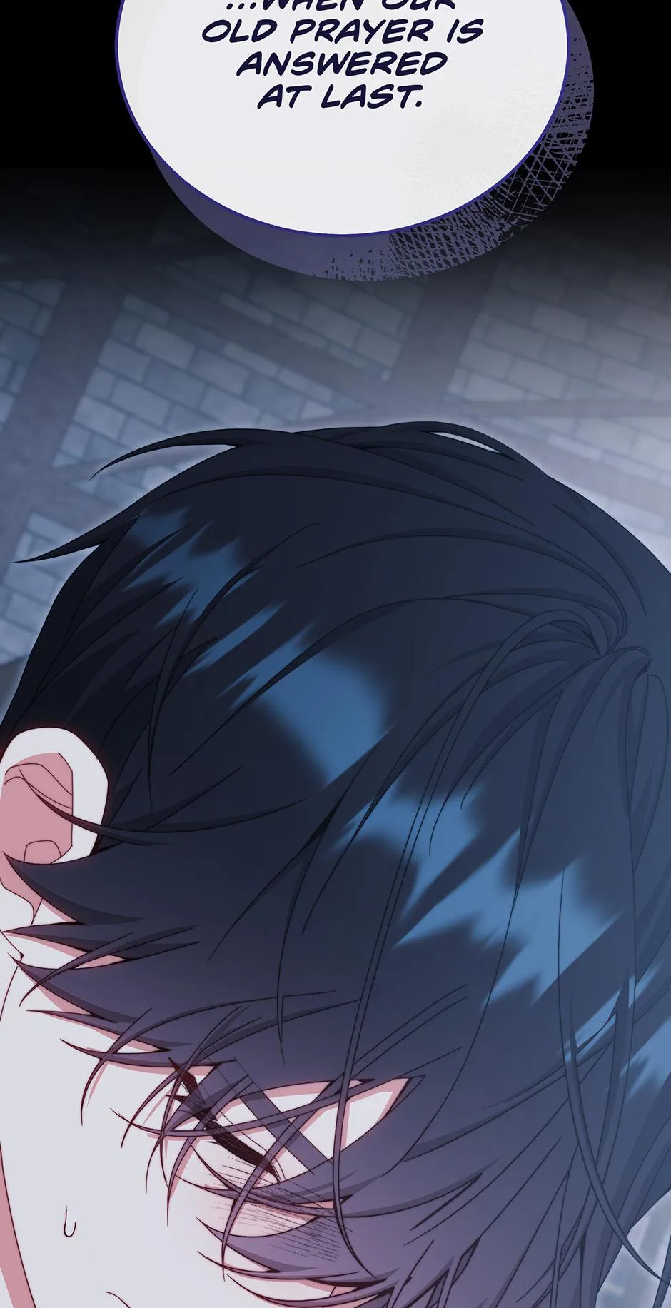 I Will Take Responsibility for the Welfare of the Male Lead Chapter 111 page 82