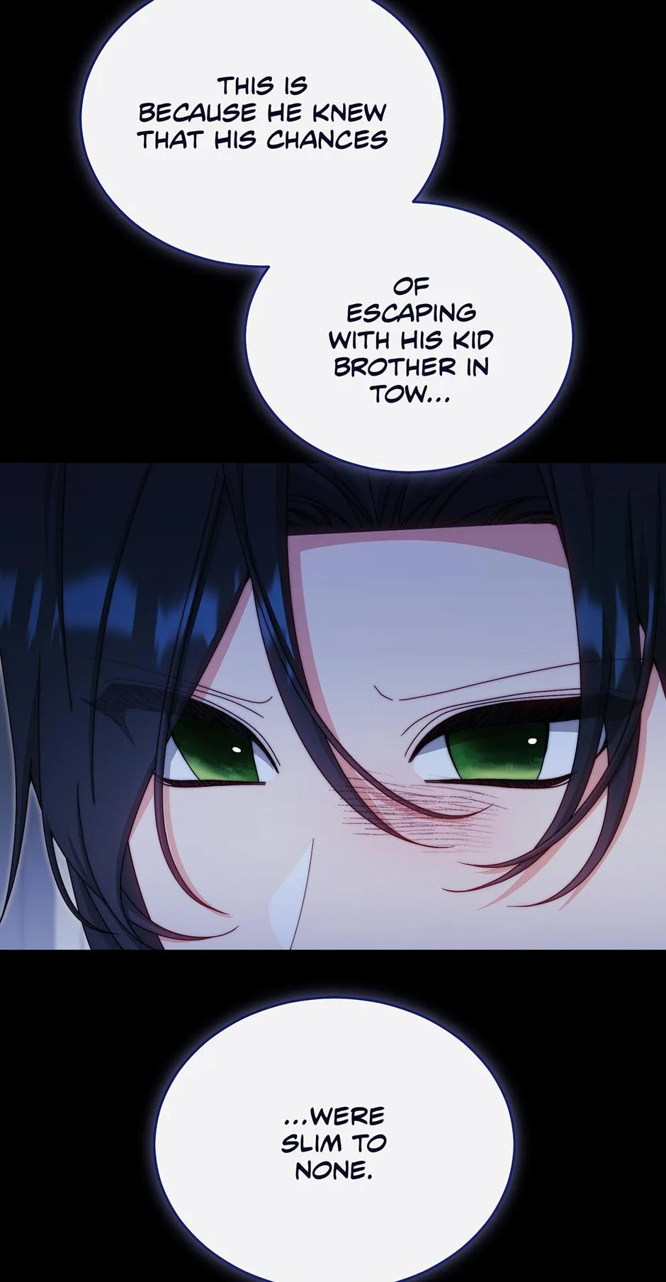I Will Take Responsibility for the Welfare of the Male Lead Chapter 117 page 13
