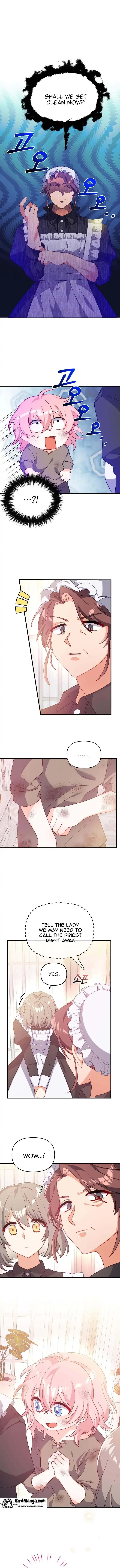 I will try to seduce the male lead for my brother Chapter 2 page 2