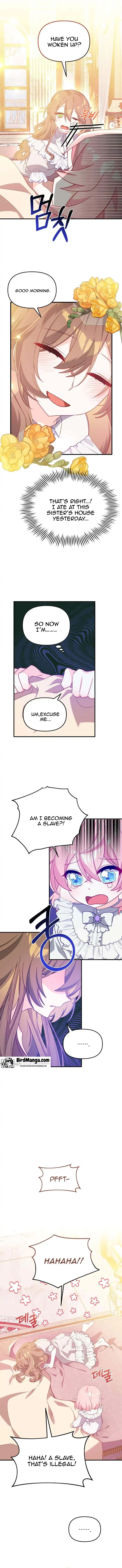 I will try to seduce the male lead for my brother Chapter 2 page 12