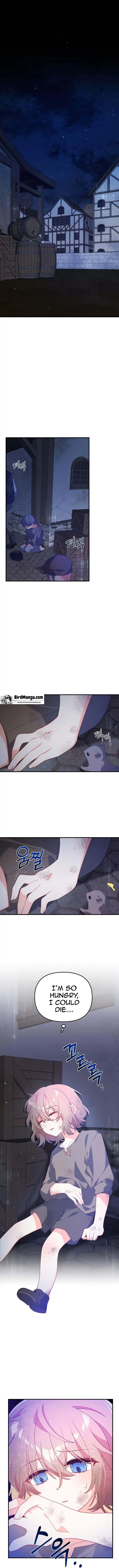 I will try to seduce the male lead for my brother Chapter 1 page 2
