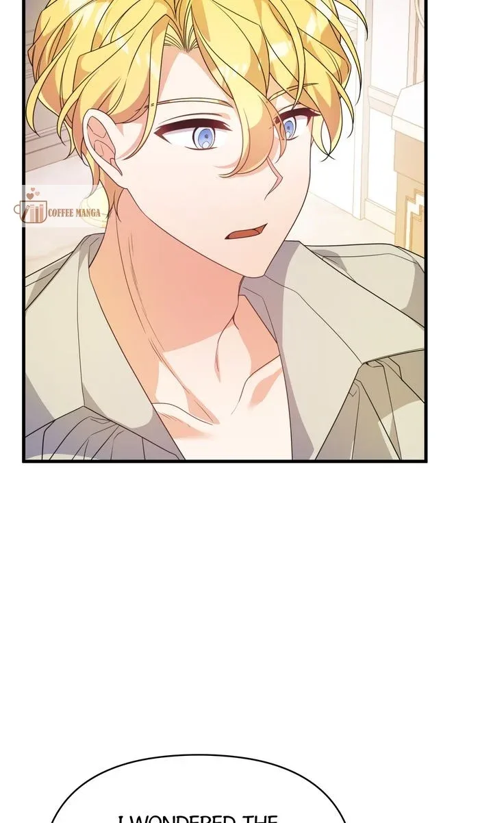 I will try to seduce the male lead for my brother Chapter 41 page 25