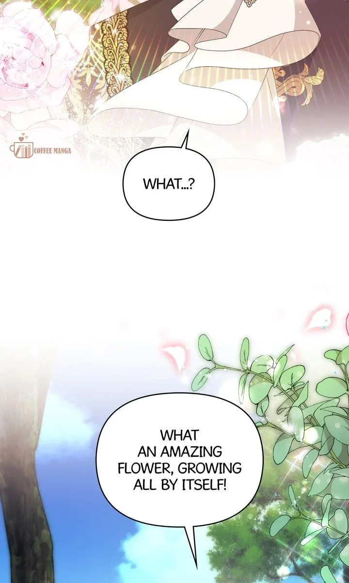 I will try to seduce the male lead for my brother Chapter 45 page 41