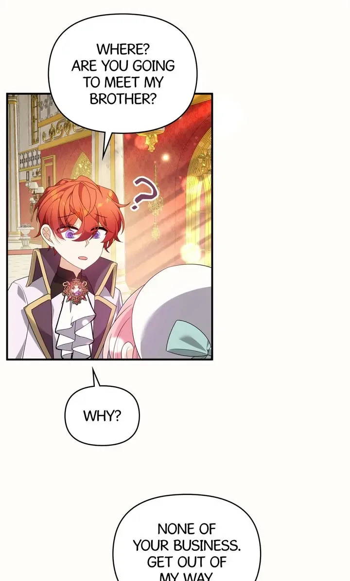 I will try to seduce the male lead for my brother Chapter 51 page 8