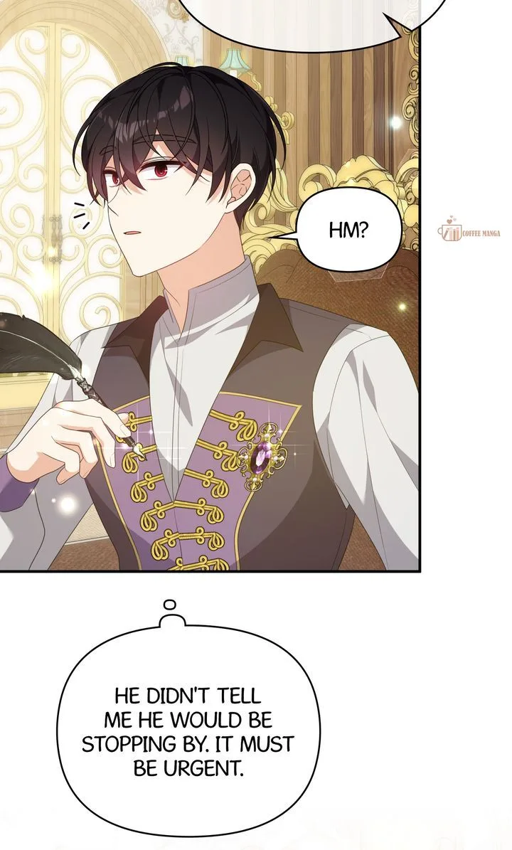 I will try to seduce the male lead for my brother Chapter 63 page 49
