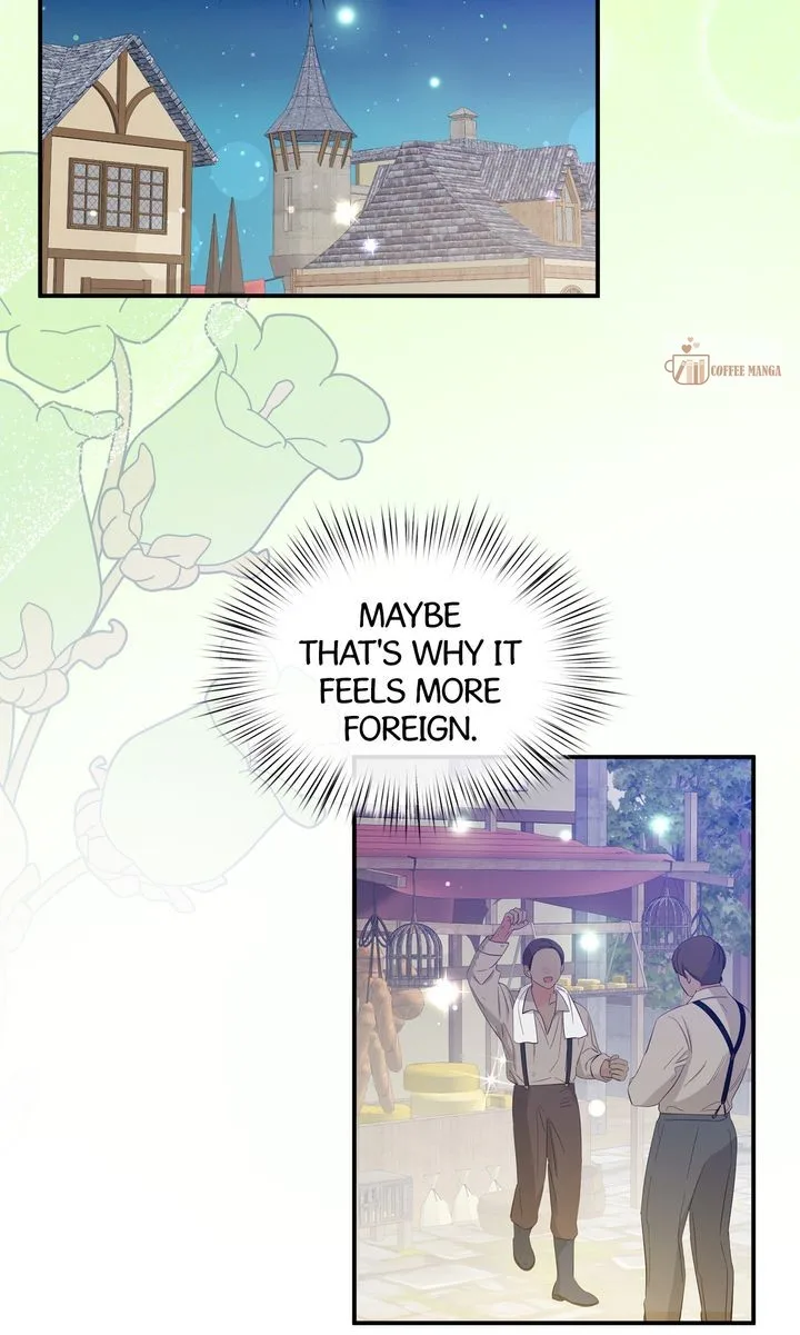 I will try to seduce the male lead for my brother Chapter 66 page 9