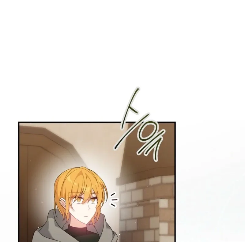 I will try to seduce the male lead for my brother Chapter 94 page 82