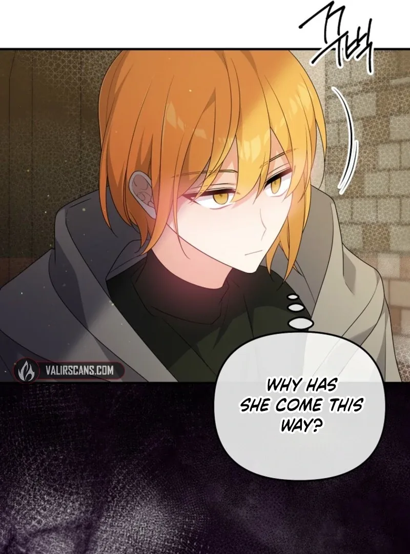 I will try to seduce the male lead for my brother Chapter 94 page 84