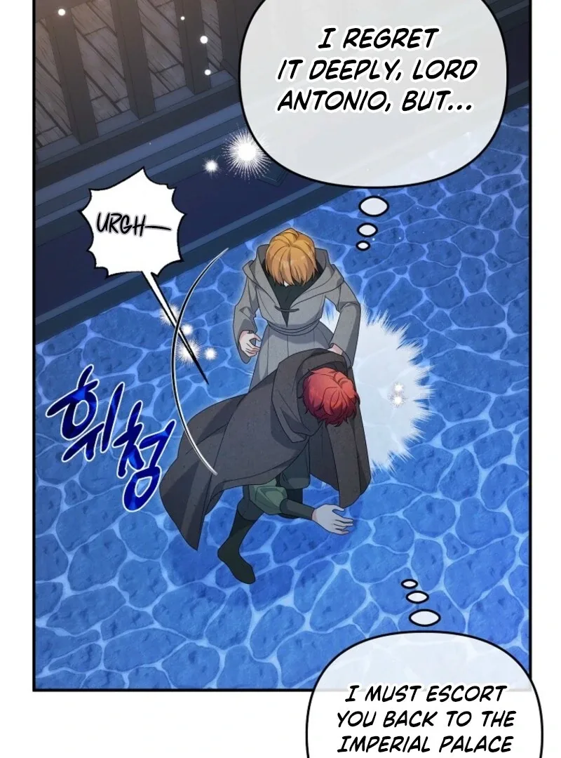 I will try to seduce the male lead for my brother Chapter 95 page 25