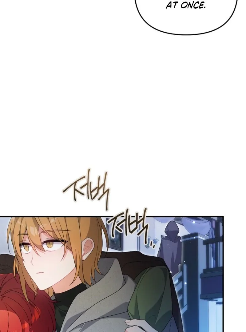 I will try to seduce the male lead for my brother Chapter 95 page 26