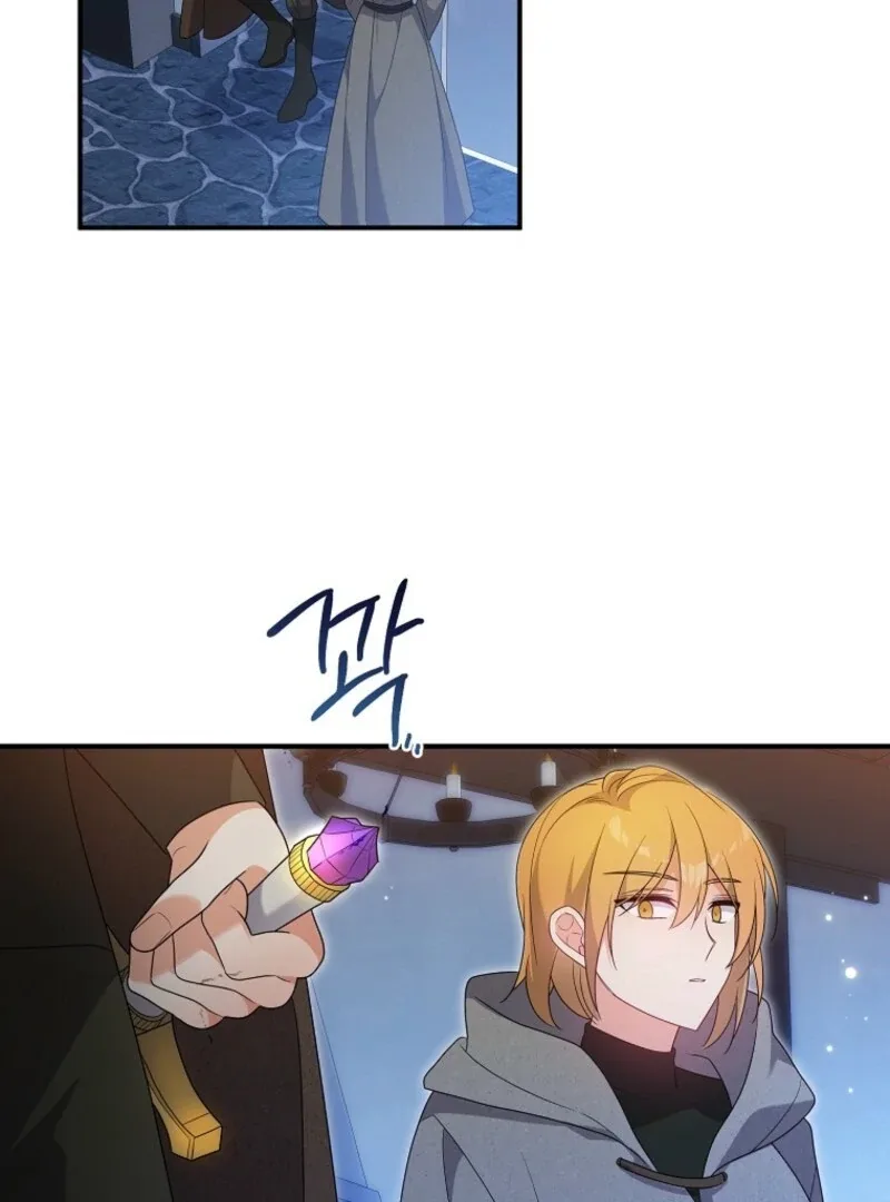 I will try to seduce the male lead for my brother Chapter 95 page 22