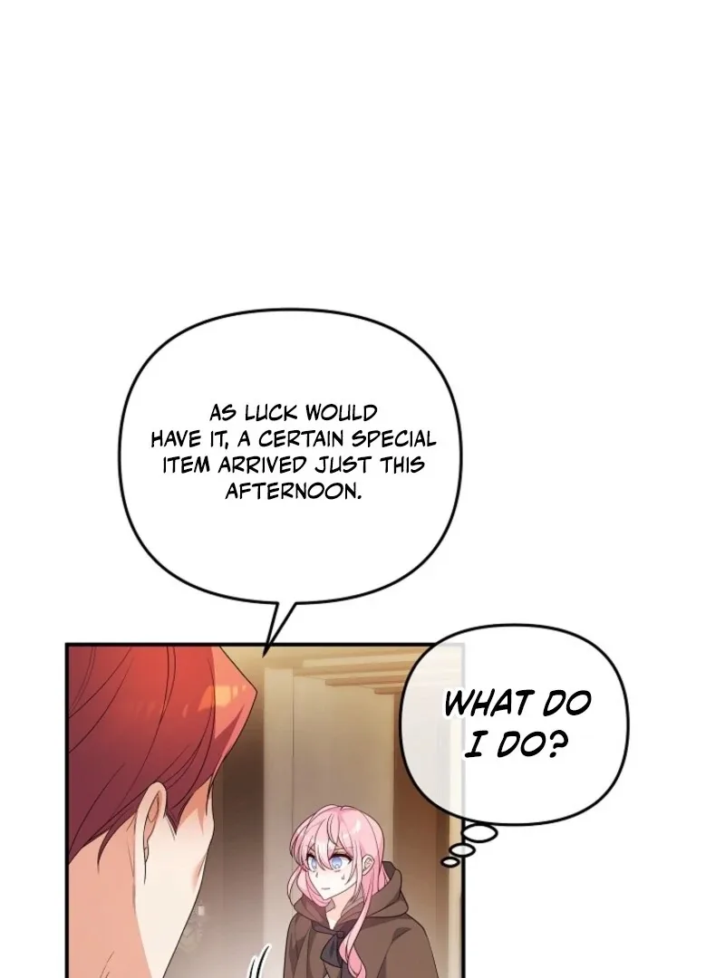 I will try to seduce the male lead for my brother Chapter 93 page 80